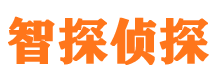 红河侦探公司